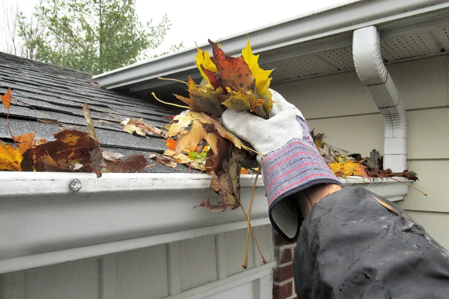 Professional gutter cleaning service removing debris and blockages